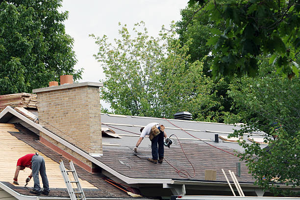 Best Roof Gutter Cleaning  in Palmetto Bay, FL